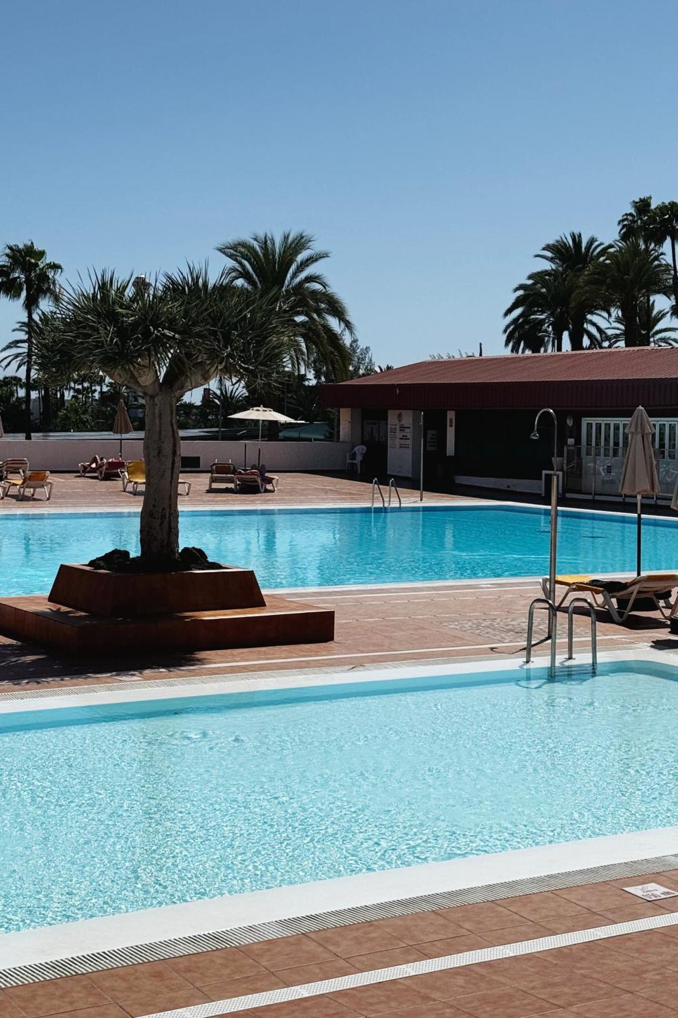 Lovely Apartment In San Agustin: Steps Away From Playa Del Ingles And Maspalomas! San Bartolomé Exteriör bild